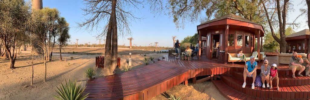 Baobab Land – perspective 1